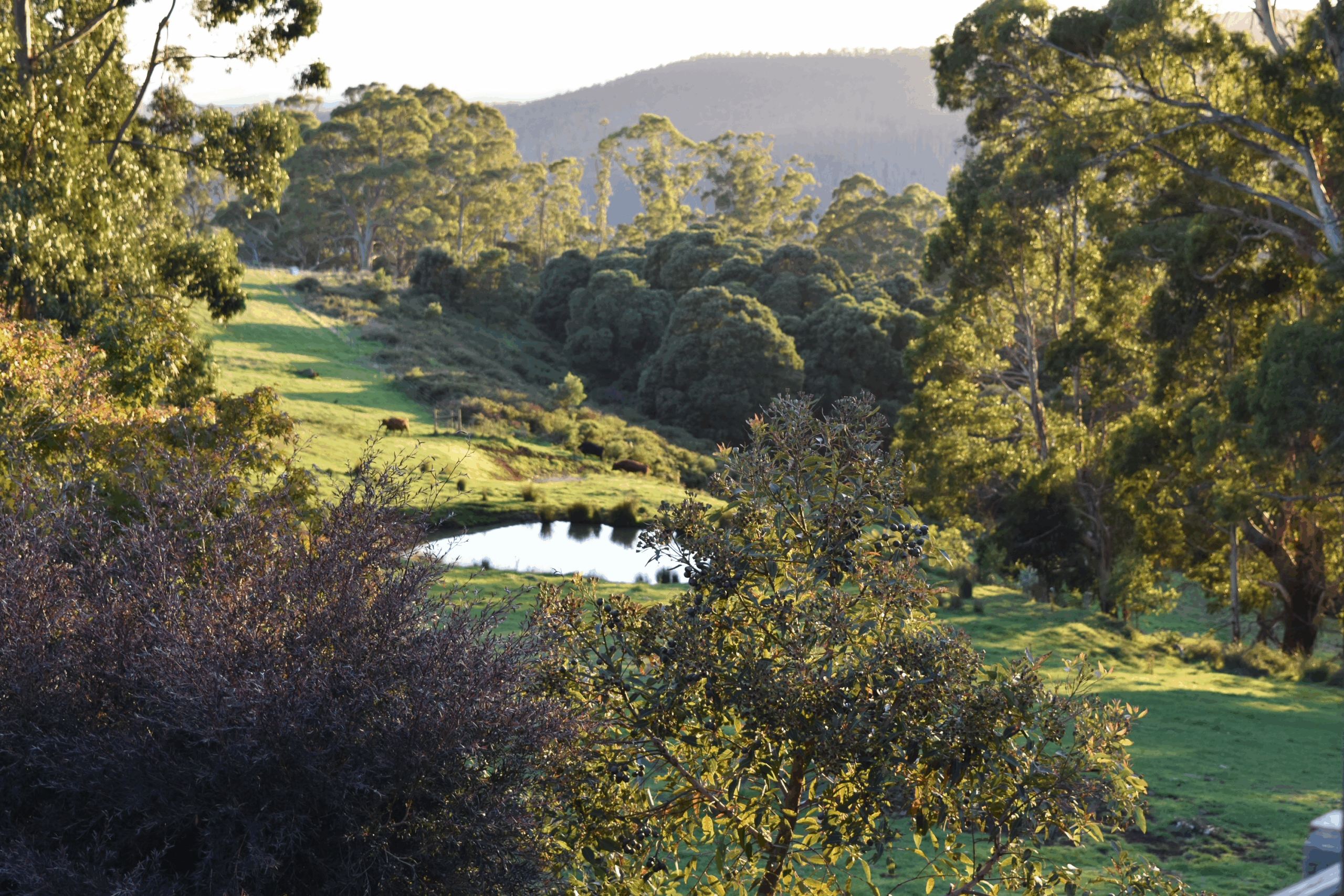 Living Fully: Weekend Retreat in Tasmania